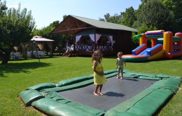 Kiddy Up – Kids Party Venue Linbro Park