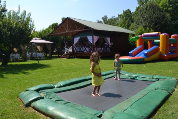Kids Party Venue Linbro Park